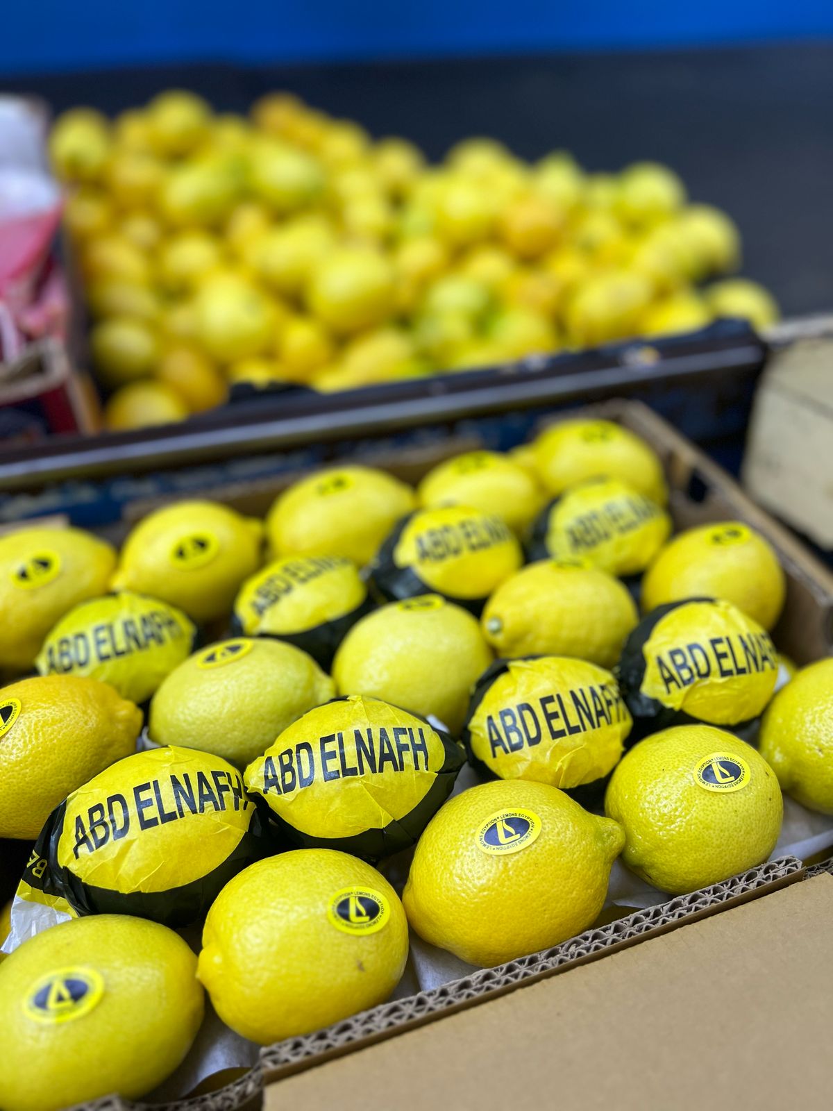 الليمـون - الصورة 2