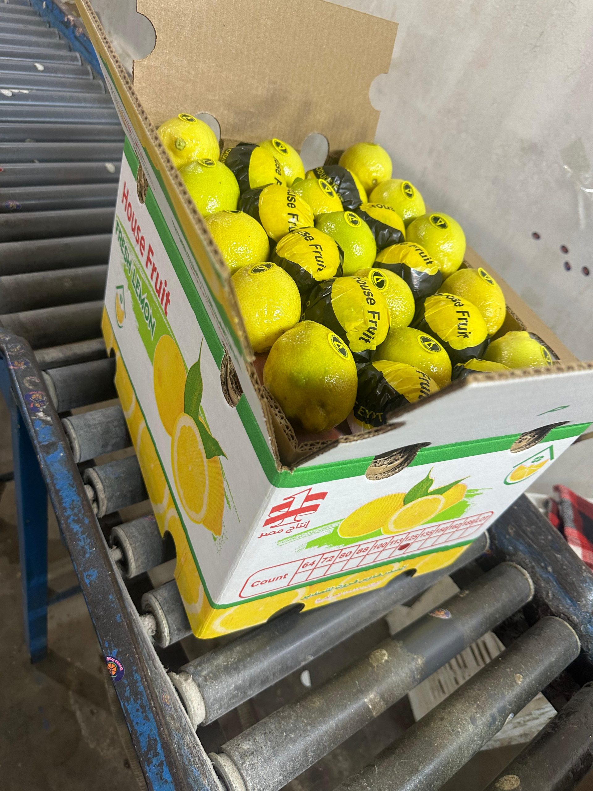 الليمـون - الصورة 4