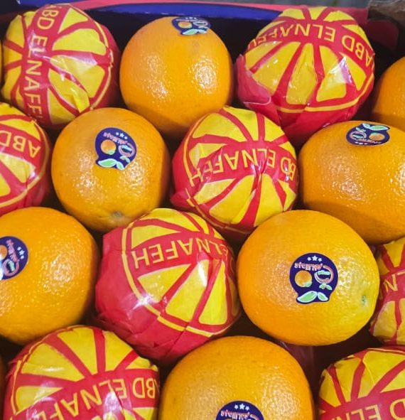 برتقال صيفى