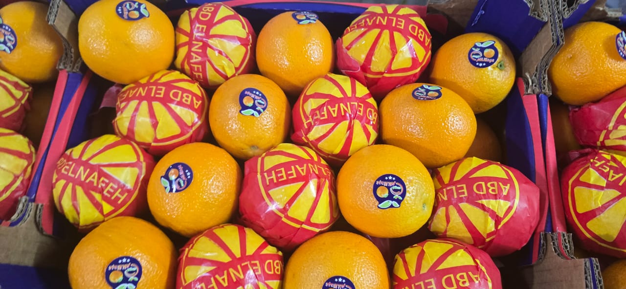 برتقال صيفى